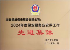 喜報(bào)！領(lǐng)威保安榮獲“2024年度保安服務(wù)業(yè)安保工